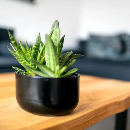 Lägenhetshotell Schoeneberg Berlin