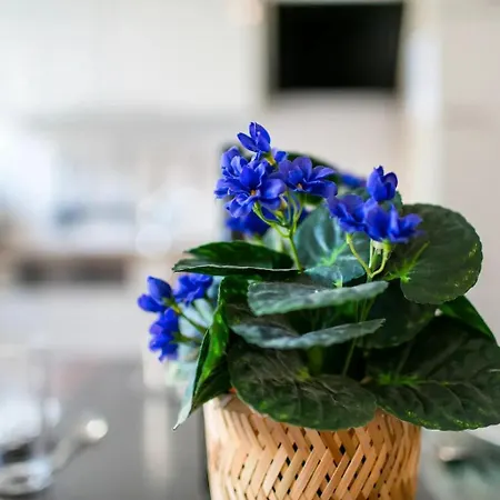 Schoeneberg Lägenhetshotell