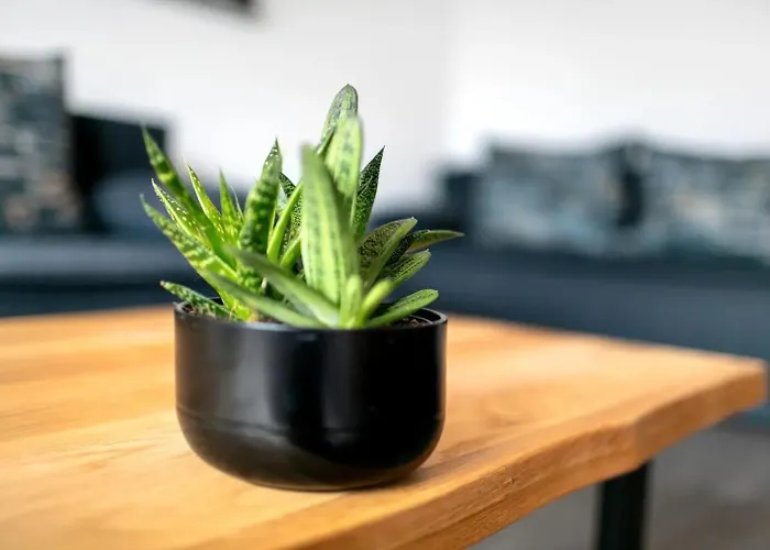 Aparthotel Schoeneberg Berlijn