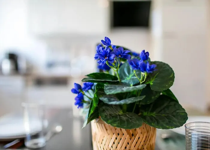 Schoeneberg Aparthotel